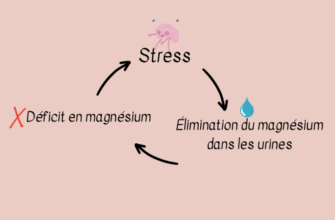 Cercle néfaste des effets du stress sur le taux de magnésium dans l'organisme